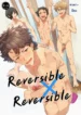 reversible_x_reversible_01